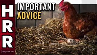 Important advice for those getting chickens for the first time