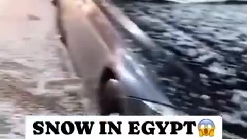 Snow in Egypt 2024