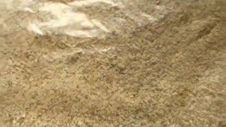 Heavy metals found in oatmeal from a producer based in USA with video proof