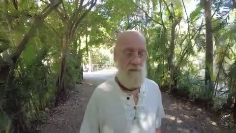 Max Igan - Mechanically Separated Society
