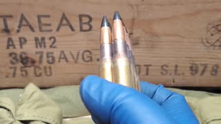 30-06 [AP] Armor Piercing Ammunition