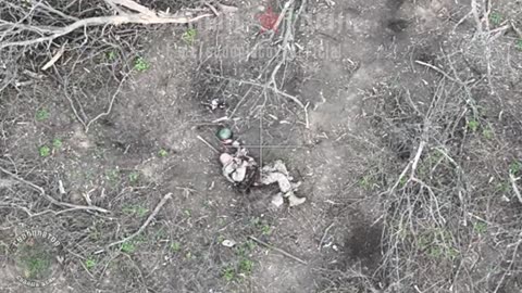 RU FPV drone lands next to wounded UA soldier and detonates