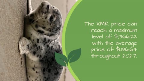 Monero Price Prediction 2023, 2025, 2030 How much will XMR be worth
