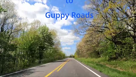 Virtual Drive into the Ozarks Arkansas Highway 7 part 5