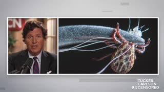 TCN TUCKER CARLSON The True Origins of Lyme Disease