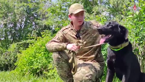 RUSSIAN K-9 DOGS ARE HEROZ 🦮 Four-legged fighters prepare to carry out task