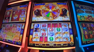 Buffalo Gold Revolution Slot Machine Play Bonuses Free Games!