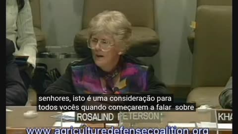 Rosalind Peterson apresenta na ONU Mudanças Climáticas.