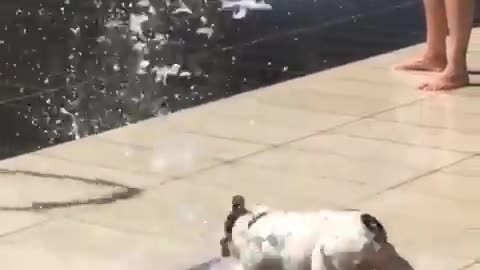 Playing with water