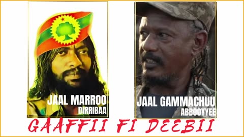 Gaaffii fi Deebii - Jaal Marroo fi Jaal Gammachu Waliin