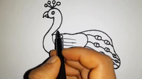 Into Peacock Drawing Peacock drawing Easy