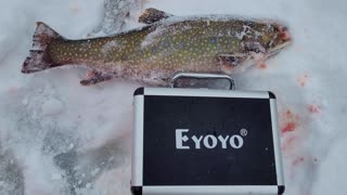 Eyoyo Underwater Camera Review