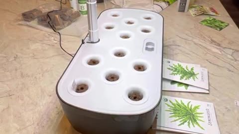 Is This Amazon Hydroponics Kit Really Worth It? In-Depth Review!