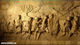 You are the Salt of the Earth | part 2 | Torah Menorah