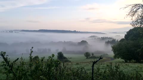 Fields _ Agriculture _ Nature _ Meadow _ DRONE