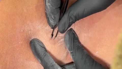 Underarm Waxing with Tickled Pink Hard Wax | Columbia SC Makeup Artist Shares Pro Techniques