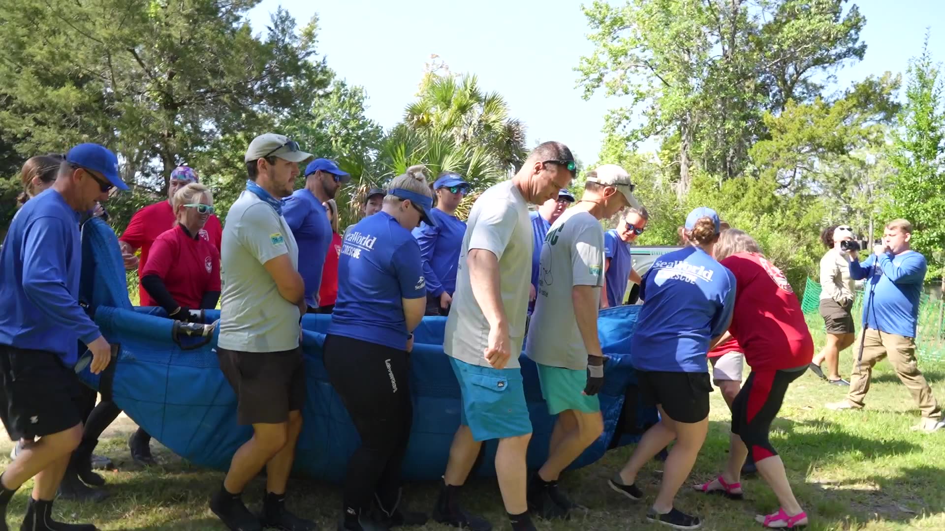 04.25.24-FLCD-Manatee Release B-roll-Crystal River