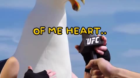 Seagull is a funny wrestler... I dare you not to laugh 😂😂