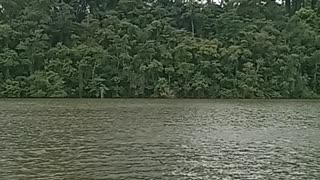 Represa em Vinhedo-SP