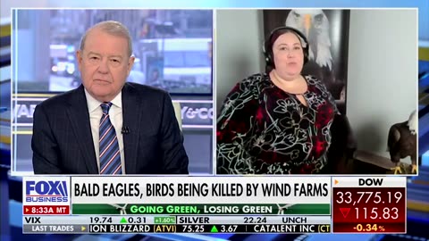 "How Come The 'greenies' Don't Care About Killing Eagles?"