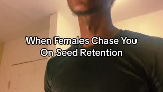 When Females Chase You On Seed Retention