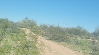 LIVE- Desert Hike Near Scottsdale Arizona