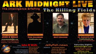 The Intelligence Briefing / The Killing Fields - John B Wells LIVE