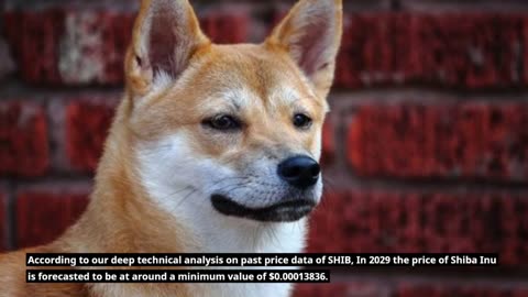 Shiba Inu Price Prediction 2023, 2025, 2030 - Will SHIB go up