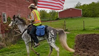 Reign carrying USA flag 6 May 2024