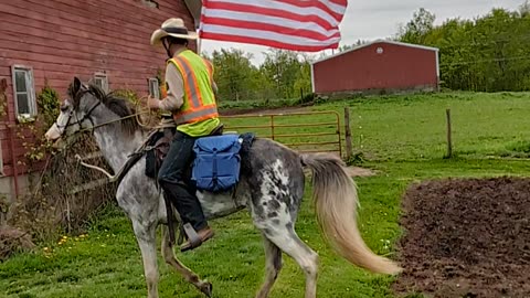 Reign carrying USA flag 6 May 2024