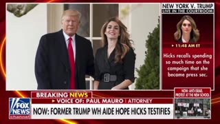 Hope Hicks on the stand