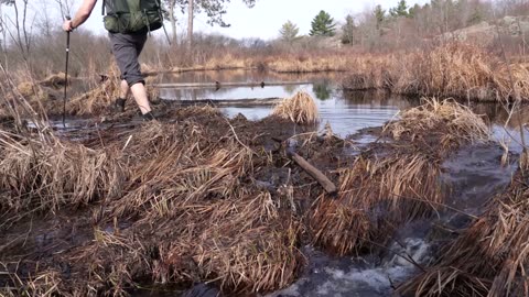 3 Days Tarp Camping in Spring Rain - 60km of Hiking