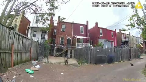 DC police release bodycam of an officer shooting, killing 2 dogs during a stabbing call