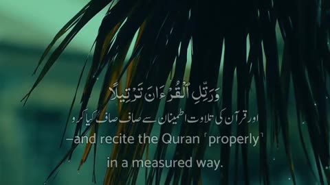 Heart touching quran recitation #quranrecitation