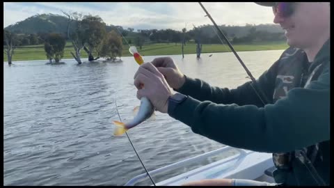 Fishing Australia