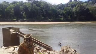 6.5.2024 The Barron River, Kuranda