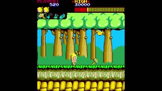 Wonder Boy (Arcade) E1.1