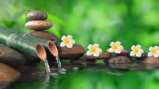 🔴 Relaxing Music 24/7, Sleep Music, Stress Relief Music, Spa, Meditation, Yoga, Zen, Sleeping Music