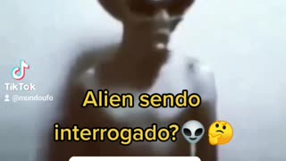 Real ou Fake? 🤔😱👽