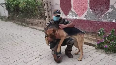 Animals Reunited With Owners AFTER YEARS!