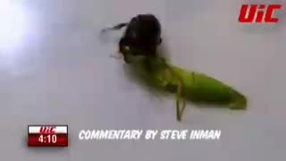 Before non-essential commentary there was Ultimate insight championships here's insect fight #2