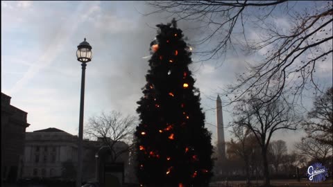 Chinese Artist Blows Up a Christmas Tree on the National Mall near the Capital Under Obama & Clinton