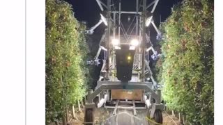 Robotic Apple Harvester