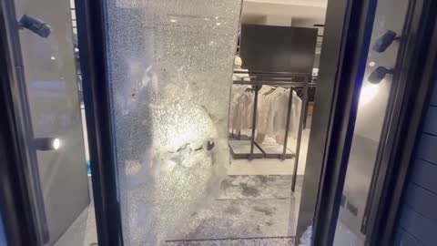Thieves target Canada Goose store on Michigan Avenue