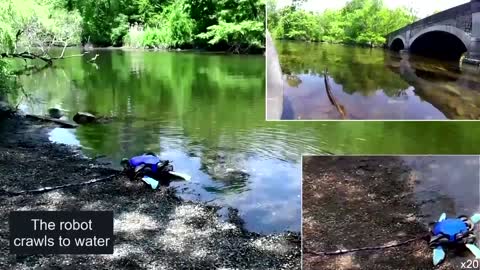 Shape-shifting robot imitates turtles