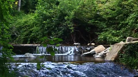 Beautiful Waterfalls of World _ Free HD Videos
