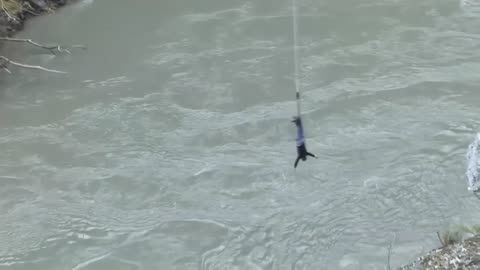 Option D - Acceleration of a Bungy Jump