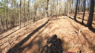 Life after 60, Monument Trail Series, Pinnacle Mountain, Coachwhip -Part 1- clockwise