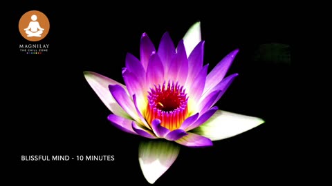 Change Your Day Now | Guided Meditation for Anxiety Relief Positive Energy 10 minutes | Magnilay
