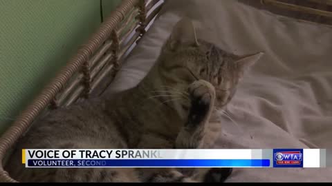 Blair County cat rescue service moving to new location